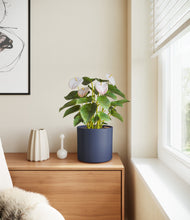 Load image into Gallery viewer, Deep Navy