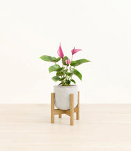 Load image into Gallery viewer, Hammered Ivory stand:bamboo