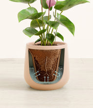 Load image into Gallery viewer, Gentle Pink stand:all