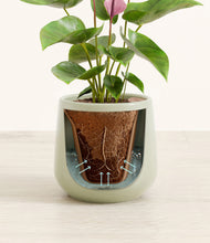 Load image into Gallery viewer, Turquoise stand:all