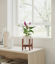 Load image into Gallery viewer, Snowdrift White stand:walnut
