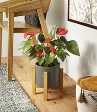 Load image into Gallery viewer, Dark Olive stand:light