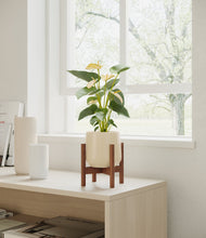 Load image into Gallery viewer, Almond Green stand:walnut