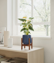 Load image into Gallery viewer, Deep Navy stand:walnut