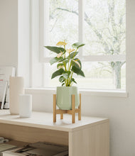 Load image into Gallery viewer, Turquoise stand:bamboo