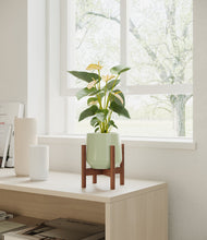 Load image into Gallery viewer, Turquoise stand:walnut