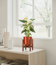 Load image into Gallery viewer, Glossy Red stand:walnut