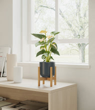Load image into Gallery viewer, Iron Gray stand:bamboo