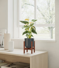 Load image into Gallery viewer, Iron Gray stand:walnut