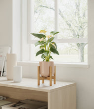 Load image into Gallery viewer, Sandy Pink stand:bamboo