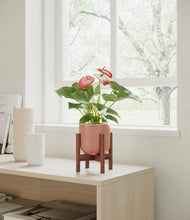Load image into Gallery viewer, Striped Rose Pink stand:walnut