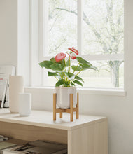 Load image into Gallery viewer, Snowdrift White stand:bamboo