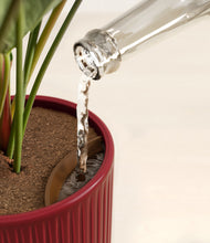 Load image into Gallery viewer, Striped Cherry Red