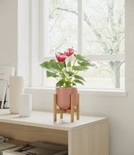 Load image into Gallery viewer, Striped Rose Pink stand:bamboo