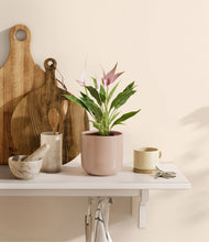 Load image into Gallery viewer, Sandy Pink