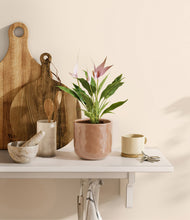 Load image into Gallery viewer, Hammered Peach Pink