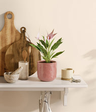 Load image into Gallery viewer, Hammered Rose Pink