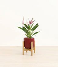 Load image into Gallery viewer, Striped Cherry Red stand:bamboo