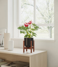 Load image into Gallery viewer, Stone Black stand:walnut