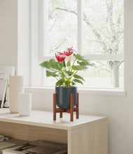 Load image into Gallery viewer, Iron Gray stand:walnut