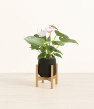 Load image into Gallery viewer, Black stand:bamboo