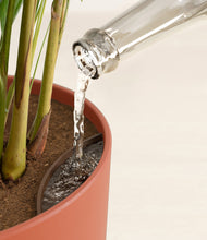 Load image into Gallery viewer, Earth Red stand:all