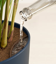 Load image into Gallery viewer, -