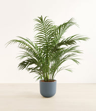 Load image into Gallery viewer, Iron Gray*****Profile