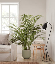 Load image into Gallery viewer, Sage Green