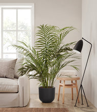 Load image into Gallery viewer, Stone Black