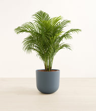 Load image into Gallery viewer, Iron Gray*****Profile