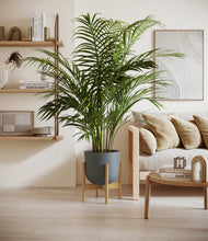 Load image into Gallery viewer, Iron Gray stand:bamboo