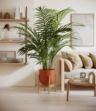 Load image into Gallery viewer, Earth Red stand:bamboo