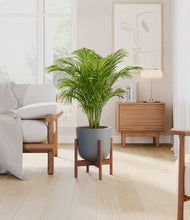 Load image into Gallery viewer, Iron Gray stand:walnut