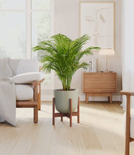 Load image into Gallery viewer, Sage Green stand:walnut