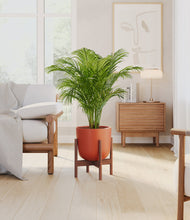 Load image into Gallery viewer, Earth Red stand:walnut