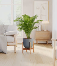 Load image into Gallery viewer, Iron Gray stand:bamboo