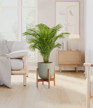Load image into Gallery viewer, Sage Green stand:bamboo