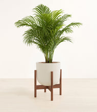 Load image into Gallery viewer, Natural Bamboo stand:walnut