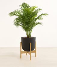 Load image into Gallery viewer, Stone Black stand:bamboo