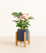 Load image into Gallery viewer, Deep Navy