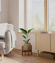 Load image into Gallery viewer, Olive stand:walnut