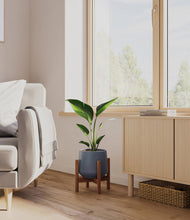 Load image into Gallery viewer, Deep Navy stand:walnut