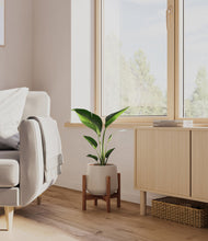 Load image into Gallery viewer, Eternal Gray stand:walnut