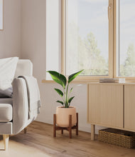 Load image into Gallery viewer, Gentle Pink stand:walnut