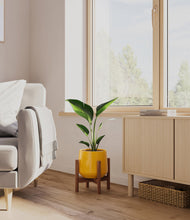 Load image into Gallery viewer, Mustard stand:walnut