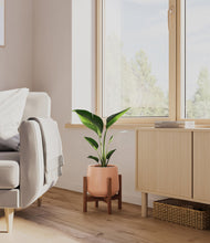 Load image into Gallery viewer, Calm Rose stand:walnut