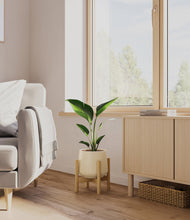 Load image into Gallery viewer, Almond Green stand:bamboo
