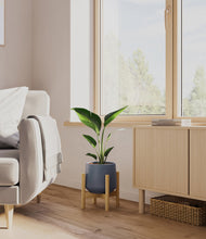 Load image into Gallery viewer, Deep Navy stand:bamboo