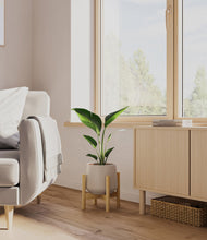 Load image into Gallery viewer, Eternal Gray stand:bamboo